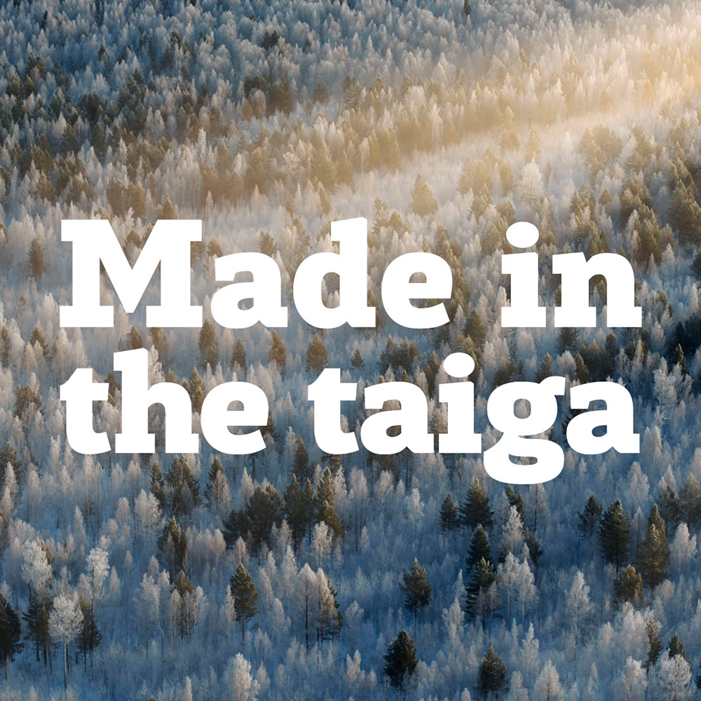 Made in the Taiga